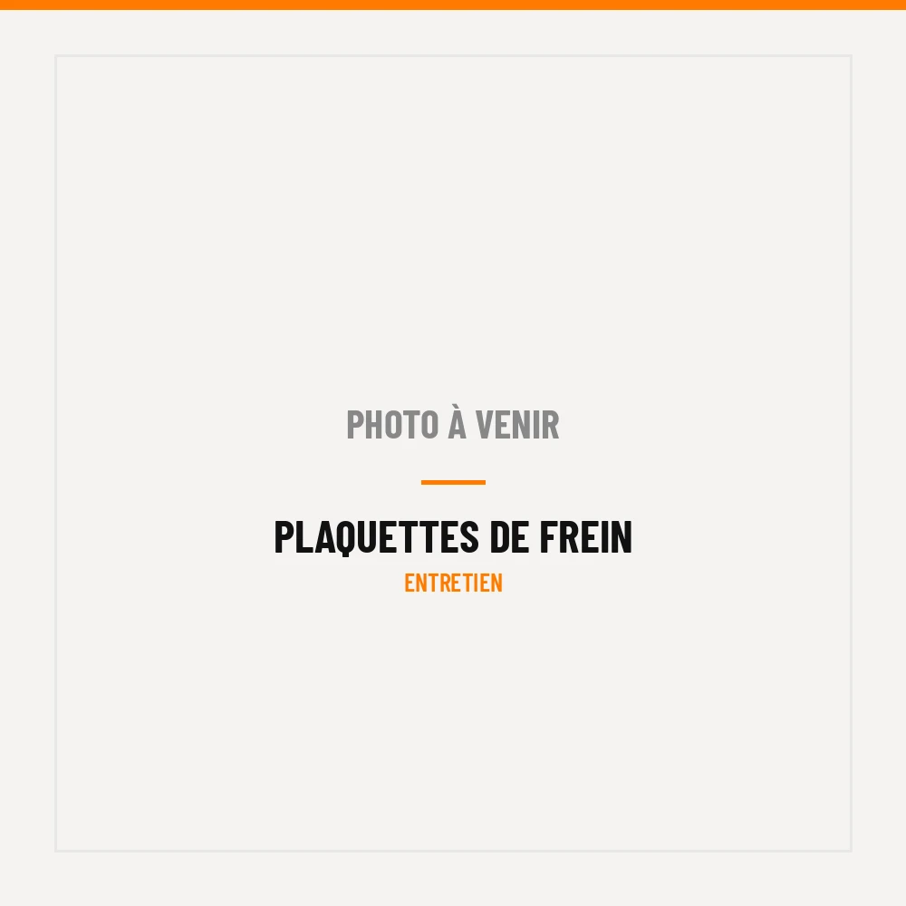 Paire de plaquettes de frein LEBYCLE pour vélo électrique — E-Bike Store Jebsheim